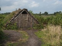 NL, Limburg, Nederweert, Groote Peel 36, Saxifraga-Jan van der Straaten